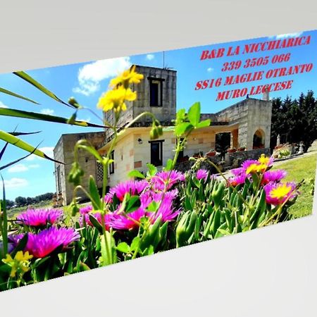 B&B La Nicchiarica Muro Leccese Eksteriør billede